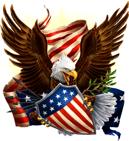 Eagle Defending Honor And America T-shirt, Ap80018 - American Eagle Holding Shield (576x600), Png Download