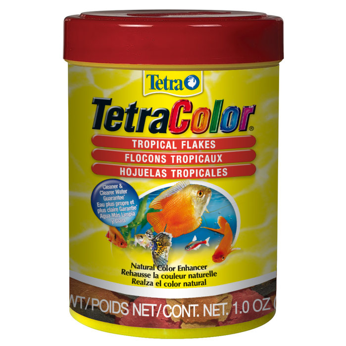 Image - Goldfish (1280x1280), Png Download