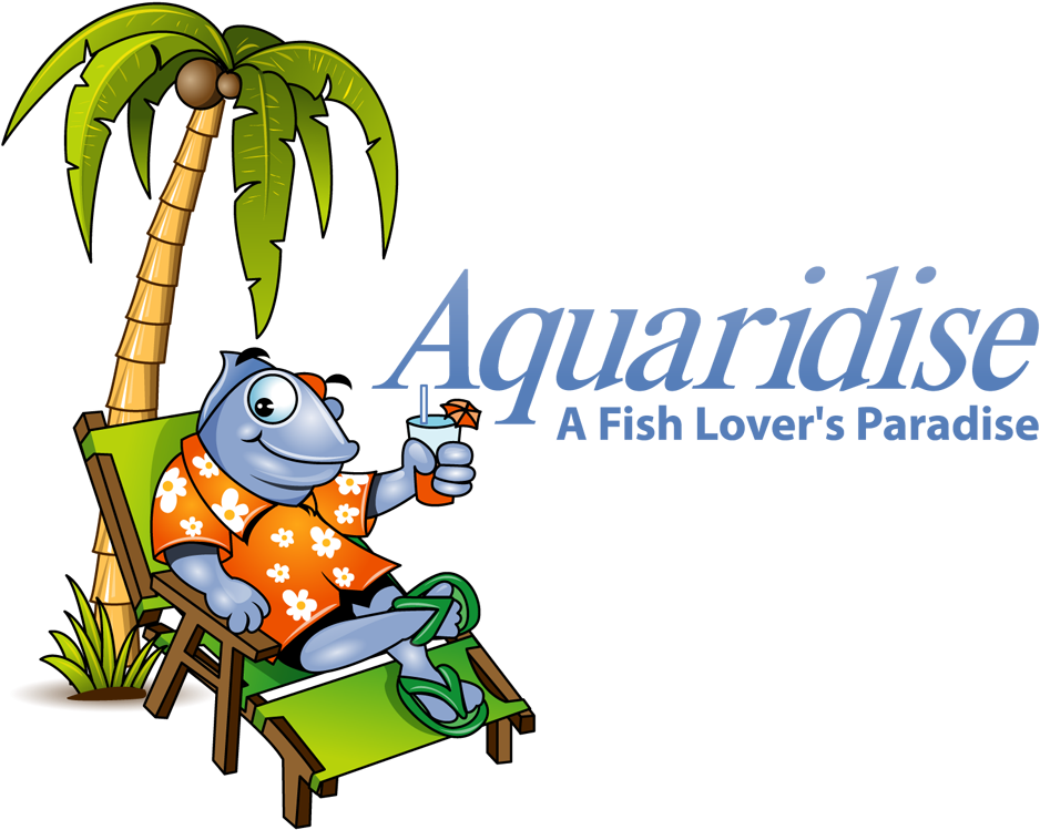 Tropical Fish Store & Aquarium Shop - Cartoon (1000x808), Png Download