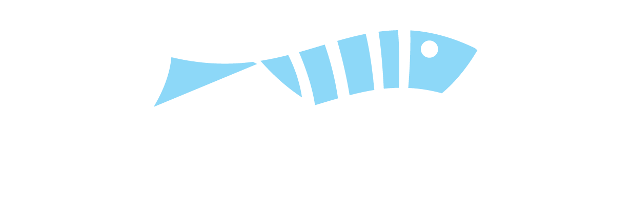 Aquarium Fish Store Address - Martin Solveig One 2 3 (1233x432), Png Download