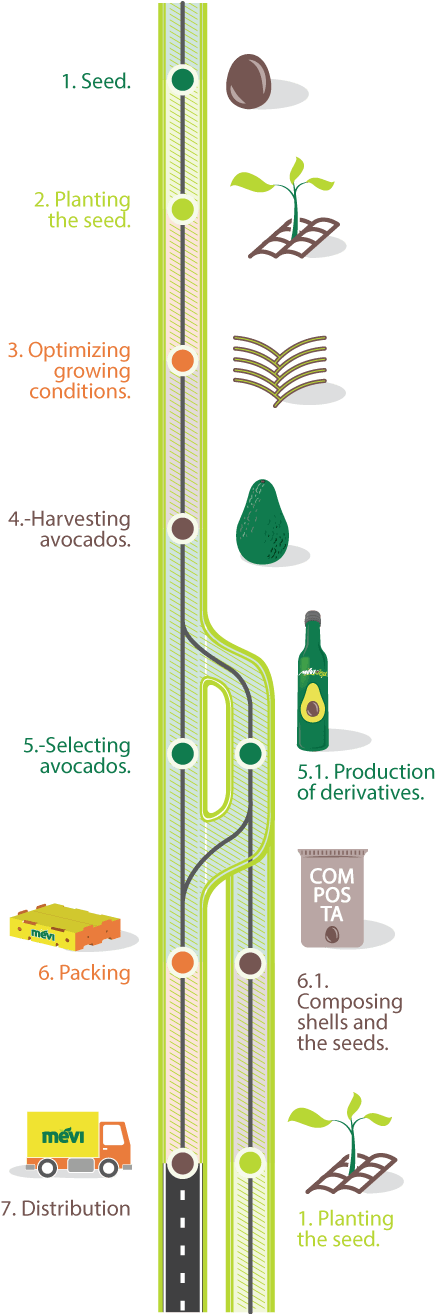 Steps-mobile - Graphic Design (500x1313), Png Download