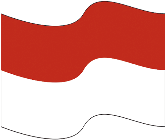 Bandera - Bandera De Rionegro Santander (661x557), Png Download