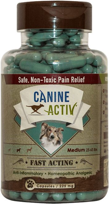 Medium - Salmon (506x768), Png Download