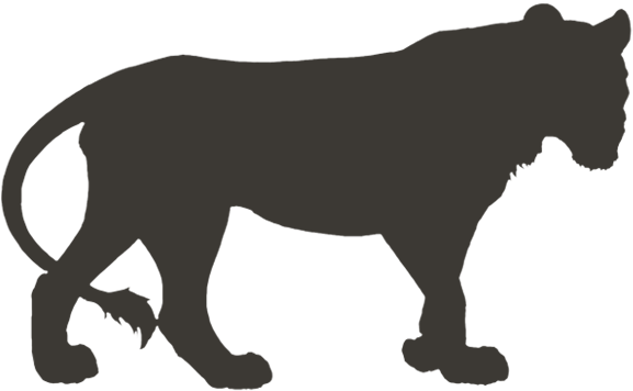 Lioden Ear Tufts Onyx (640x500), Png Download