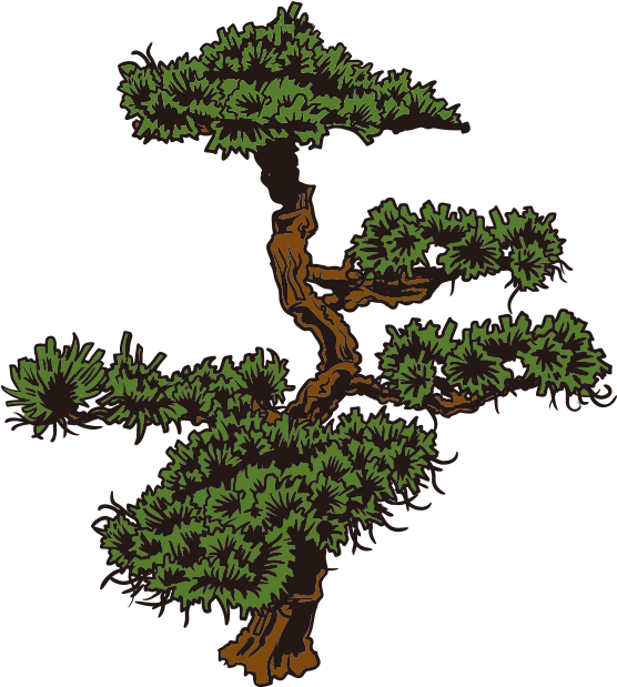 Png Download Japan Cartoon Clip Art Culture Transprent - Japanese Tree Drawing Png (800x800), Png Download