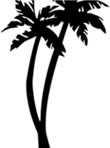 Palm Tree Drawing - Palm Trees No Background (640x480), Png Download