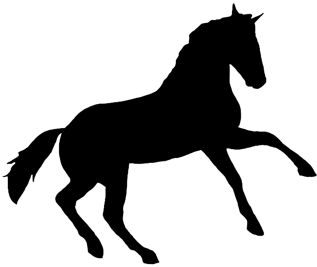 Printable Horse Silhouette Png - Appaloosa Horse Clipart Art (650x564), Png Download