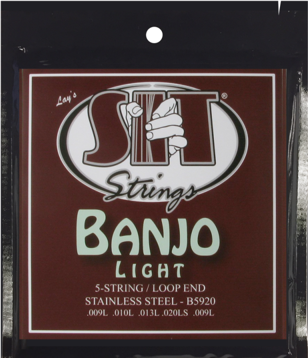 5- String Light - Poster (800x800), Png Download