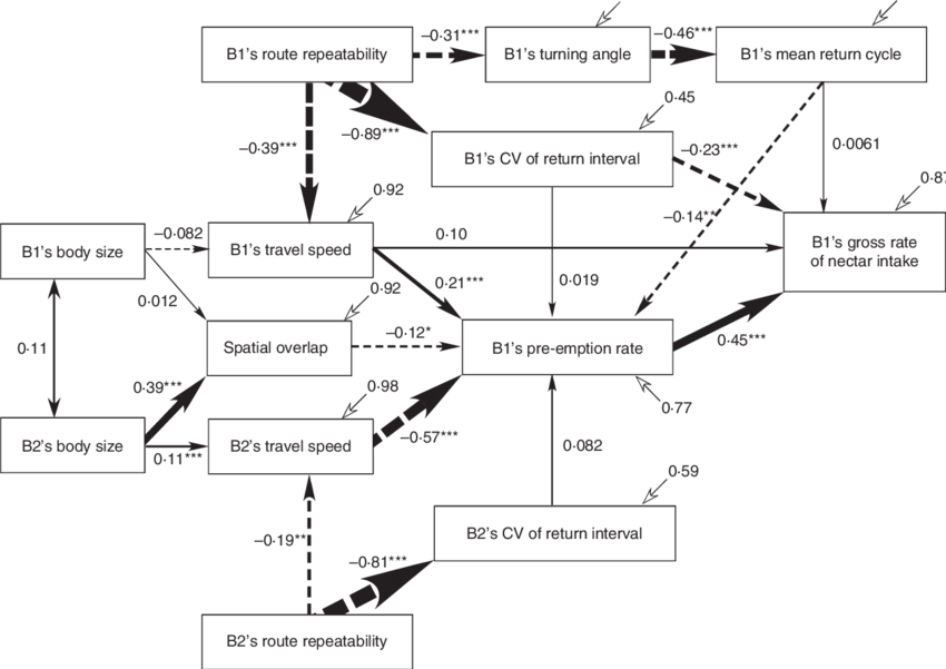 Bumble Bees During The Competition Phase In Ohashi - Diagram (850x601), Png Download