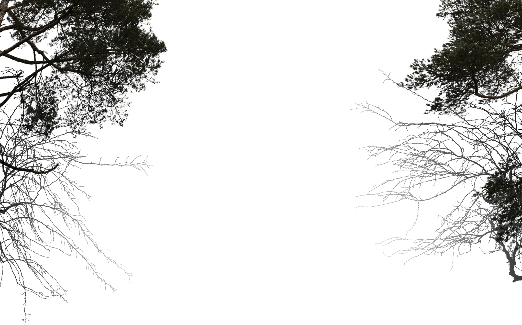 Ja Bg 21 Jun 2017 - Monochrome (2040x2801), Png Download