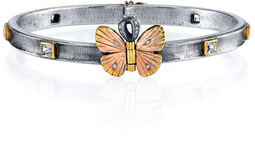 The Crown Radix Silver - Bangle (1024x1024), Png Download