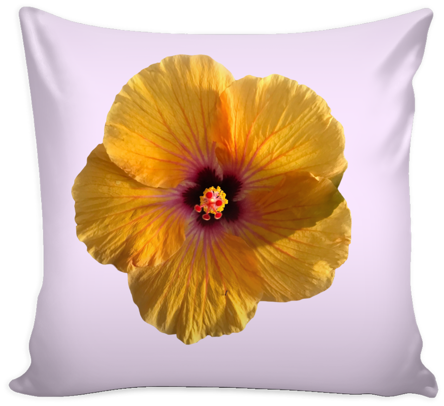 Hibiscus Flower Cushion Cover - Pillow Quotes (1024x1024), Png Download