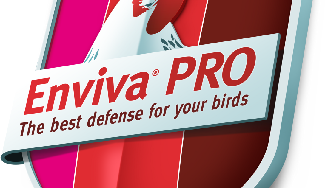 Dupont™ Enviva® Pro Probiotic Now Available To European - Graphic Design (1200x630), Png Download