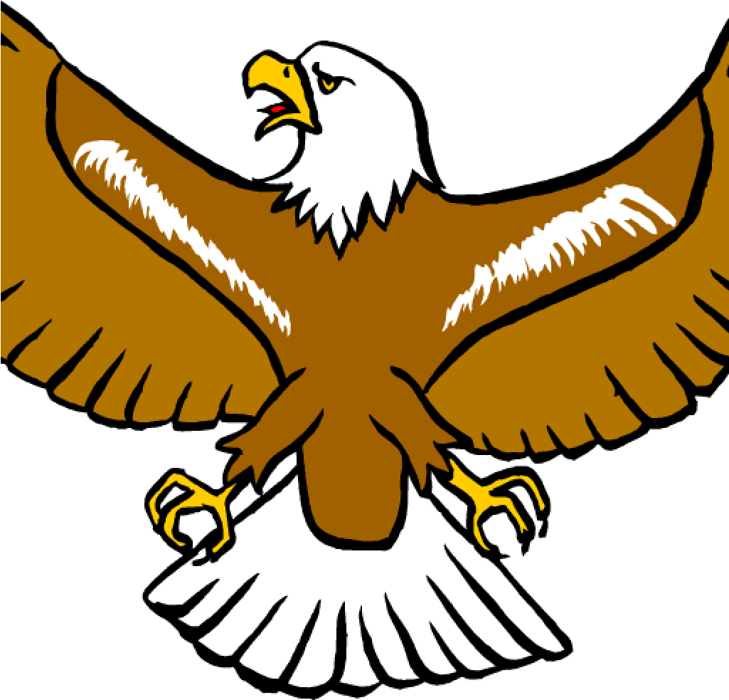 Free Eagle Clipart 19 Eagles Clipart Happy Eagle Huge - Eagles Clipart Png (1024x1024), Png Download