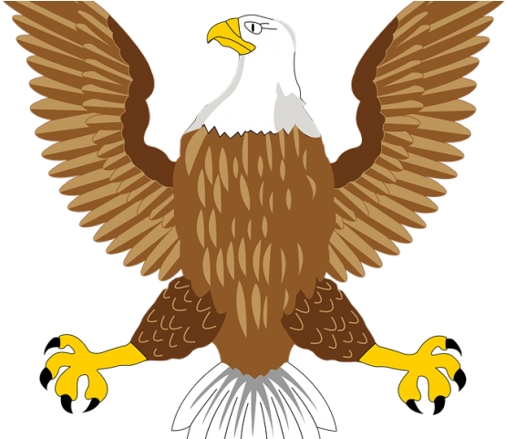 Golden Eagle Clipart Dead Eagle - Native American Eagle Bustle (640x480), Png Download
