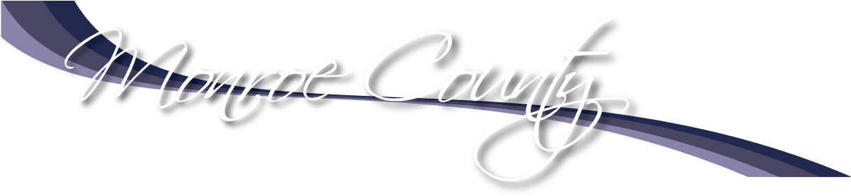 Monroe County, Georgia - Ring (1200x288), Png Download