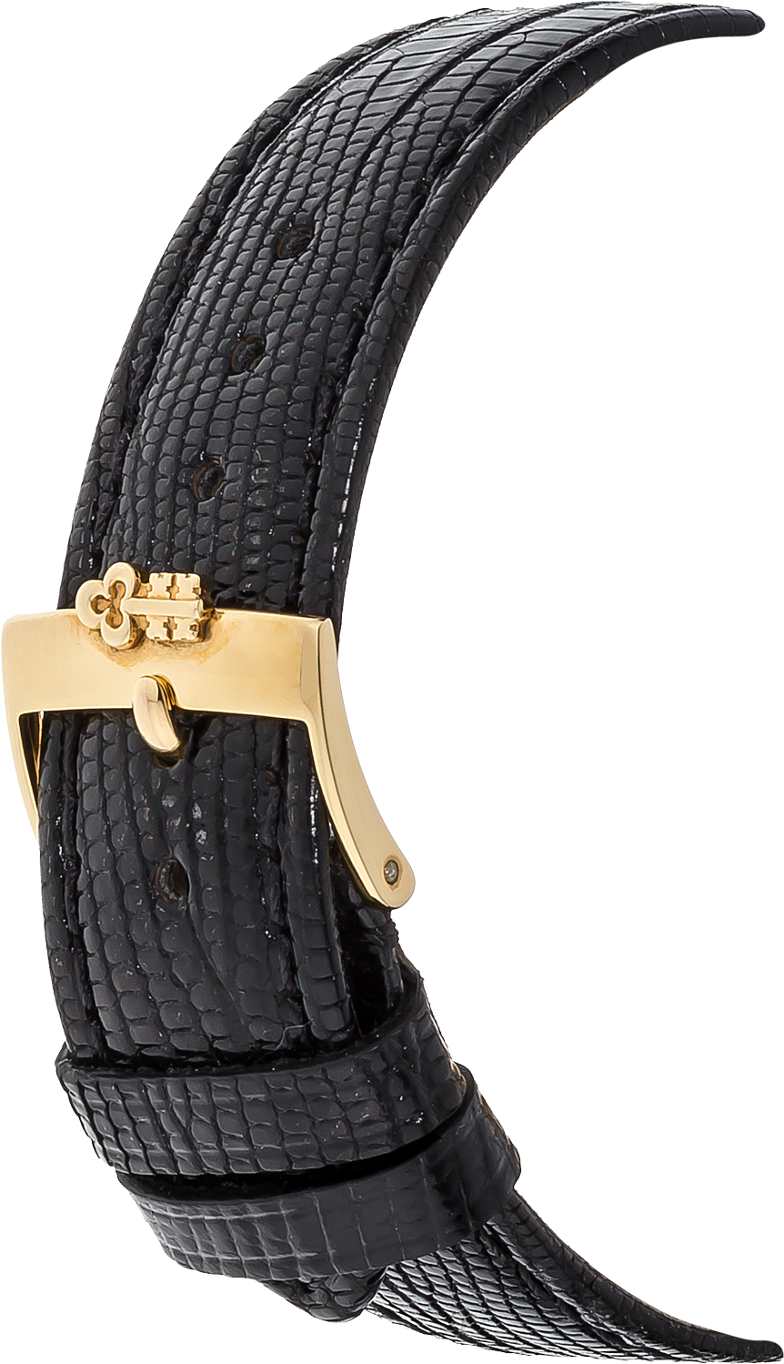 Twenty Dollar Coin Yellow Gold Quartz - Buckle (1000x1500), Png Download