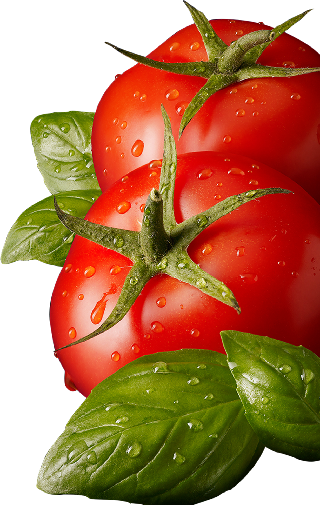 Download - Tomato Leaves Png (2048x2048), Png Download