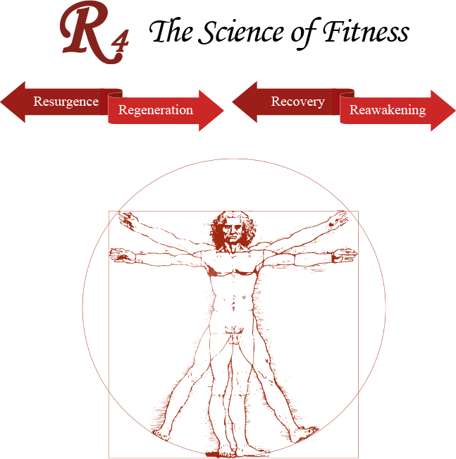 Banner Image Overlay - Anatomy Of Man Leonardo Da Vinci (647x651), Png Download