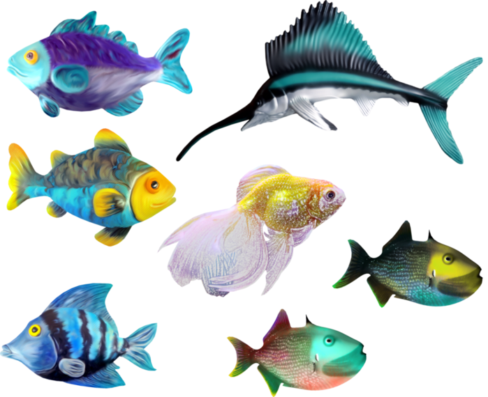 Ikan Laut Dan Terumbu Karang (699x570), Png Download