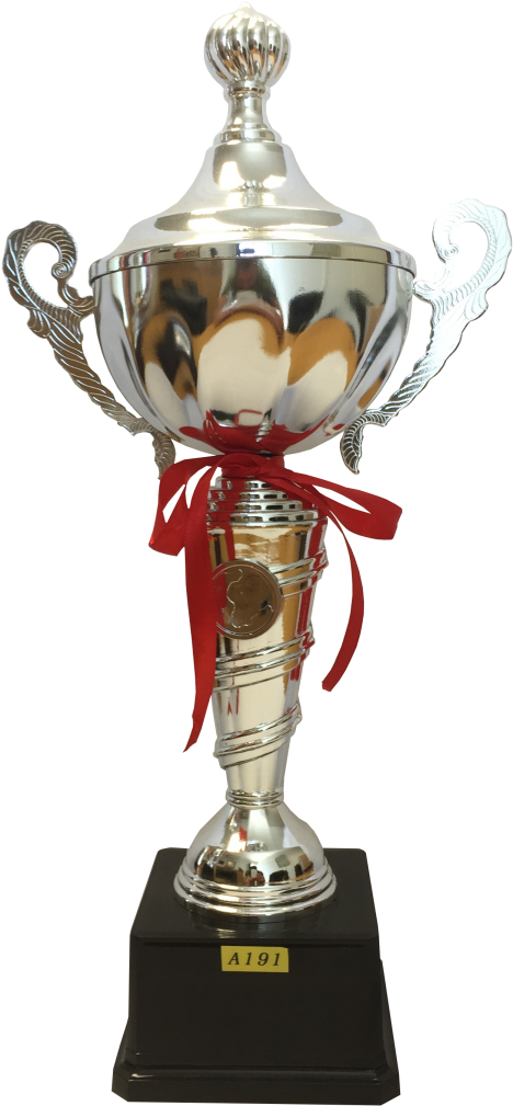 Https - //trophyempire - Co - Za/wp Trophy Empire - - Trophy (513x1024), Png Download