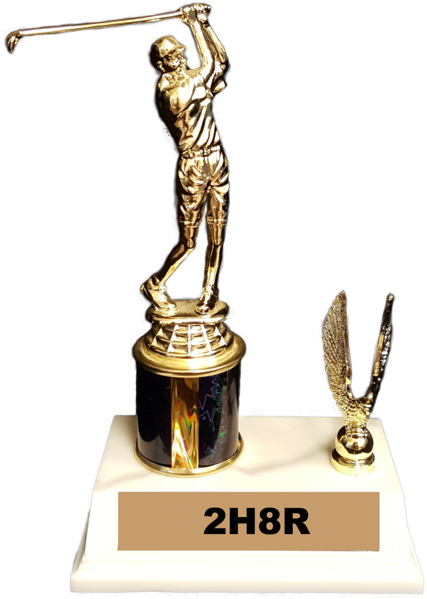 All Trophies Can Be Customized To Your Specifications - Trophy (1000x1294), Png Download