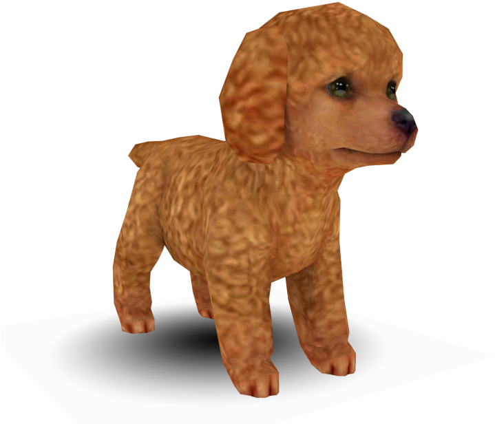 Download Zip Archive - Toy Poodle (750x650), Png Download