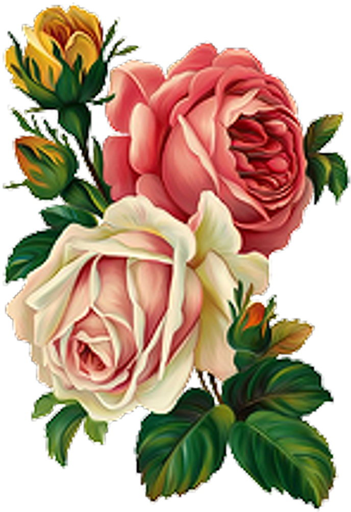 Flowers Sticker - Hd Rose (1024x1024), Png Download