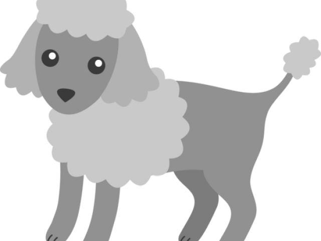 Poodle Clipart Transparent - Transparent Poodle Clipart (640x480), Png Download