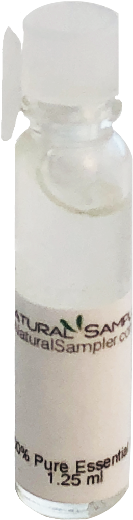 Eucalyptus - Glass Bottle (1024x1024), Png Download