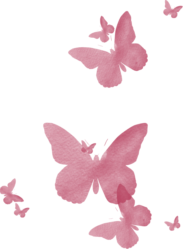 Pink Butterflies - Butterfly Transparent Pink Png (590x800), Png Download