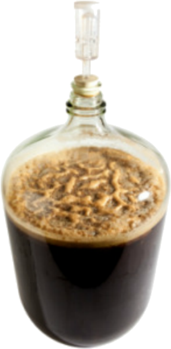 Beer Fermentation In A Carboy - Beer Fermentation (500x761), Png Download