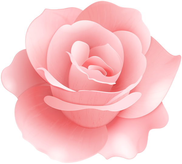 Soft Rose Flower Clip Art Image - Japanese Camellia (600x539), Png Download