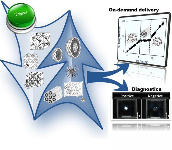 Ensure That Therapeutics Are Delivered To The Site - Diagram (590x522), Png Download