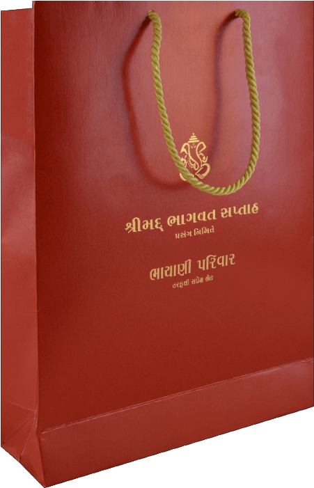 Paper Bags - Cb-9123r - Paper Bag (700x700), Png Download