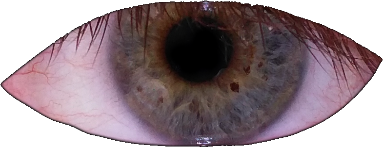 View Eyes , - Close-up (945x370), Png Download