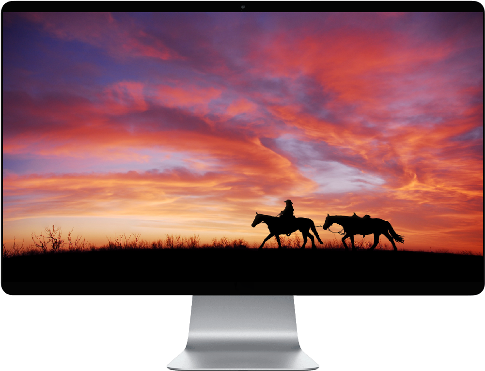 Score 50% - Horses In The Sunset (1000x1000), Png Download