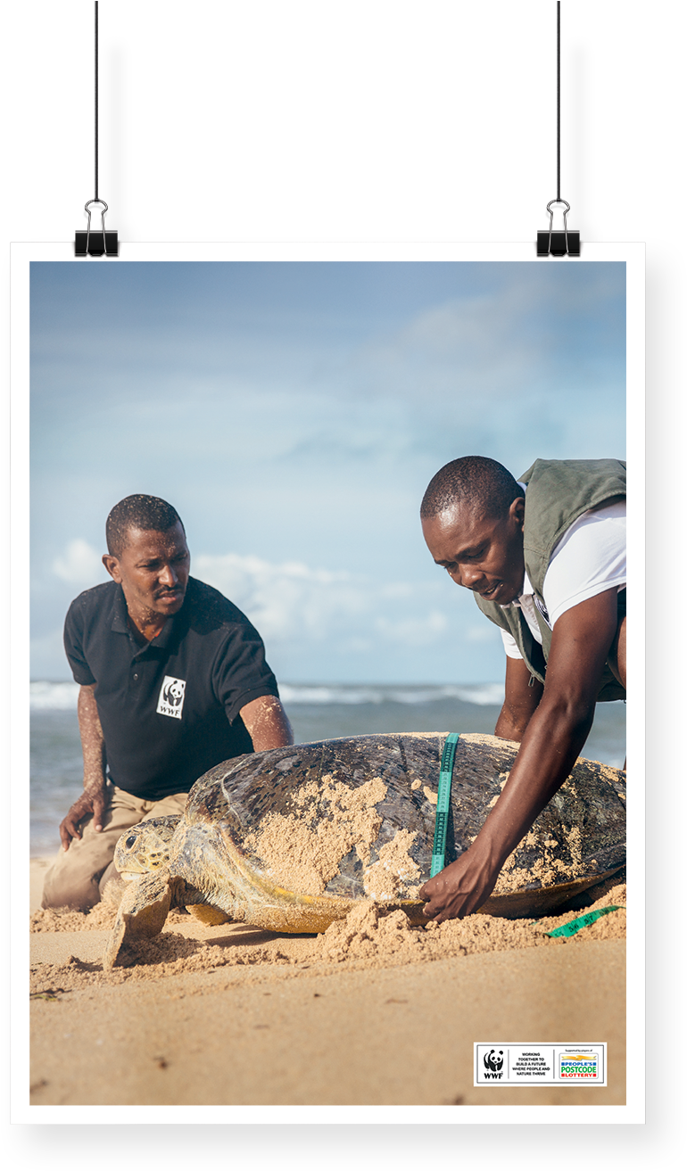 Contact Us - Sand (1200x1336), Png Download