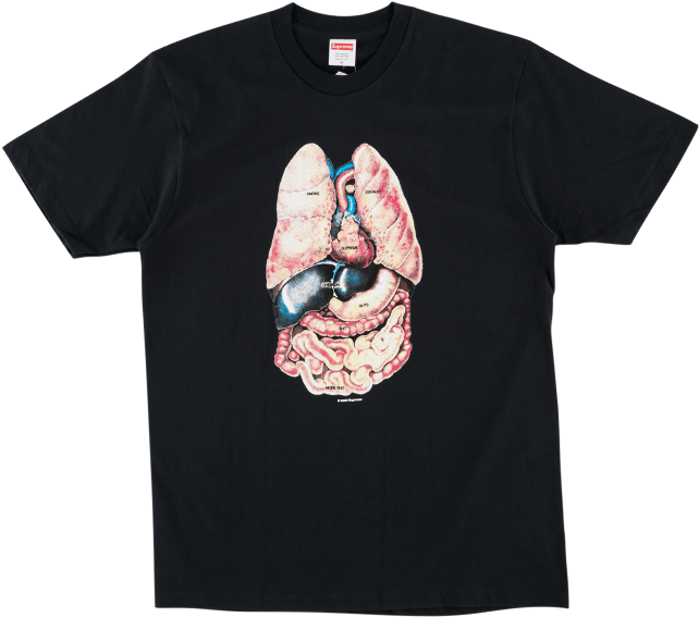 Supreme Guts Black (1000x600), Png Download