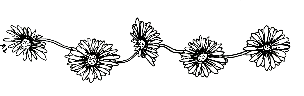 Baked A Rat Poison Pie - Daisy Chain Drawing (1078x346), Png Download