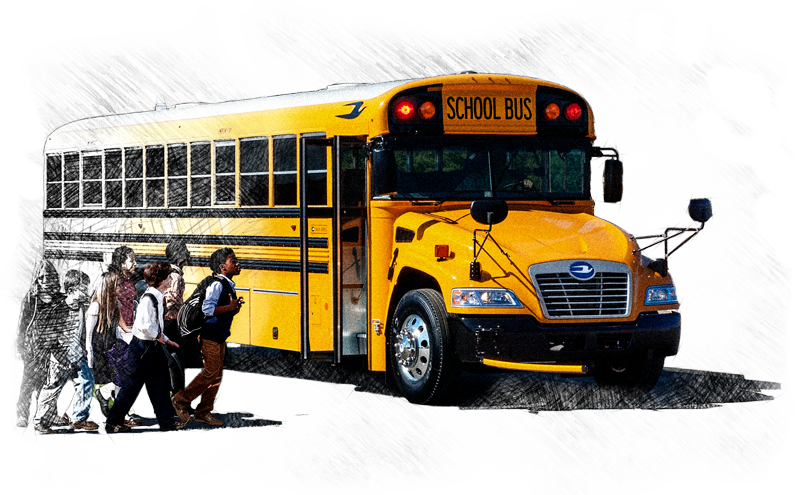 Blue Bird (800x495), Png Download