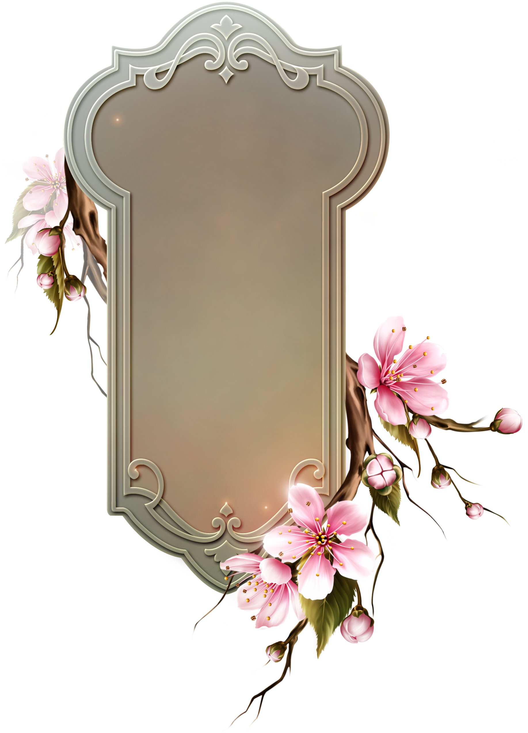 Cherry Blossom (1836x2556), Png Download