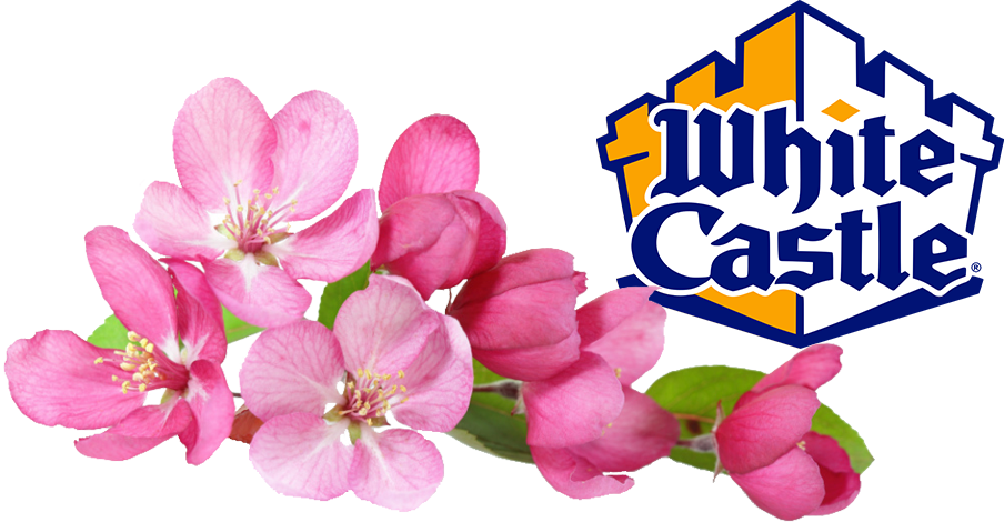 White Castle, The Oldest Fast Food Company In The United - White Castle (904x470), Png Download