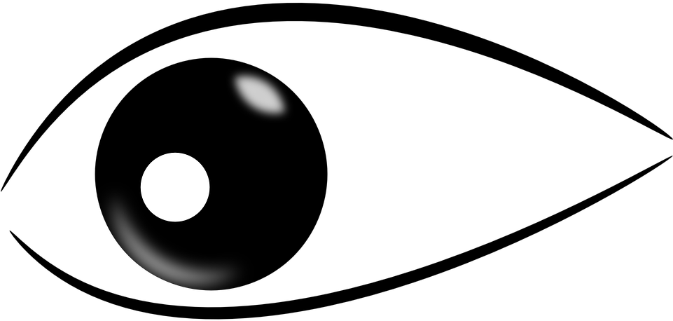 Eyeball Clipart Duck - Shark Eyes Clip Art (960x480), Png Download