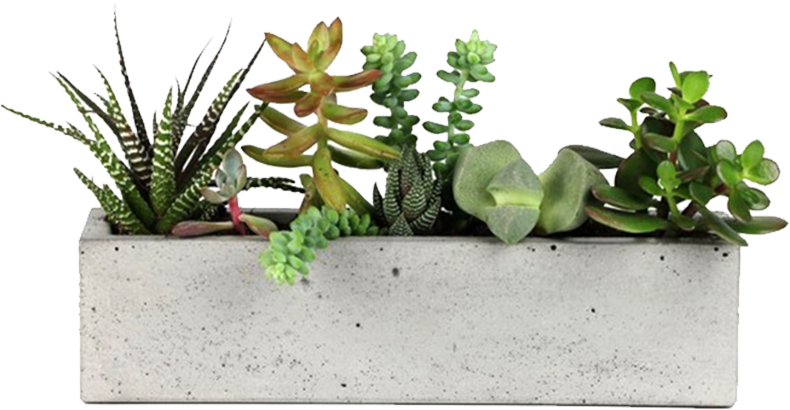 Concrete Planter - Window Sill Succulent Planter (800x800), Png Download