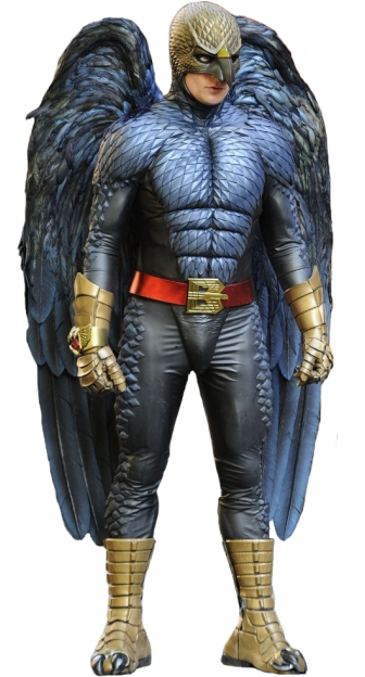 2015 Oscar Birdman Cosplay Michael Keaton Birdman Costumes - Birdman Michael Keaton Costume (650x650), Png Download