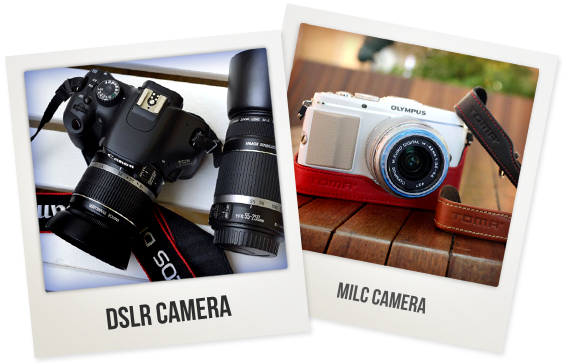 It Is Also Very Important To Know That You Cannot Interchange - Asdf Movie (563x363), Png Download