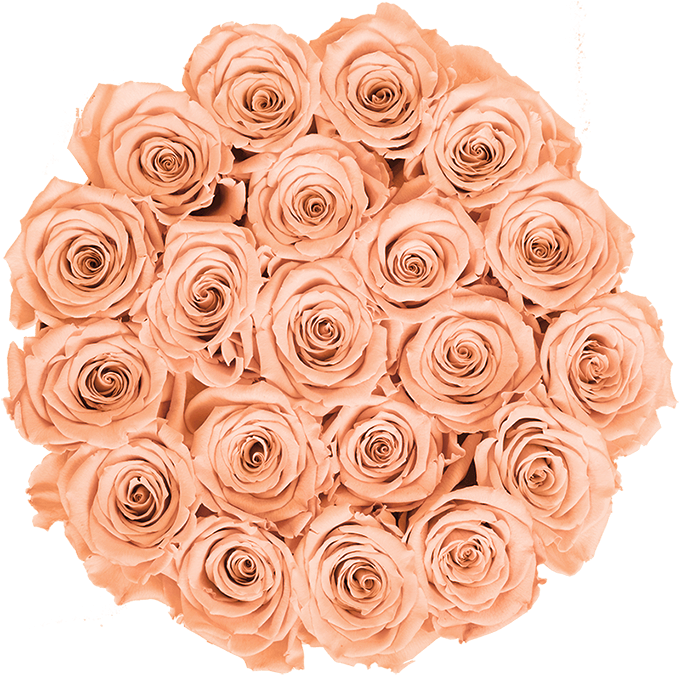 Prev - Roses In A Box - Bella's Flower Shop (800x795), Png Download