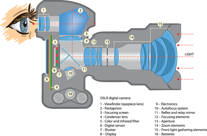 Dslr Camera Parts - Working Of A Camera (690x456), Png Download