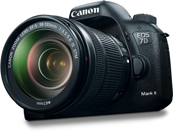 Overview Product - Canon 7d Mark Ii Png (764x444), Png Download